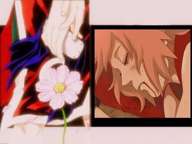 Sakura