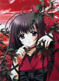 Shina Yamato