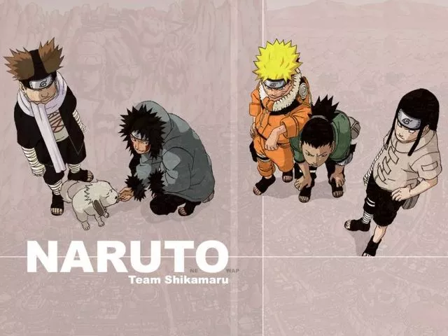 Naruto Uzumaki,Shikamaru Nara,Kiba Inuzuka,Choji Akimichi,Neji Hyuuga