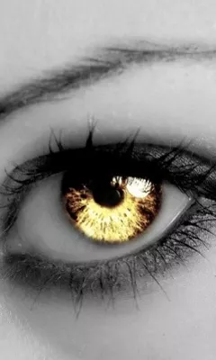 Alisha's Augen