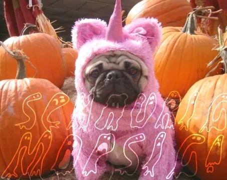 Mops!