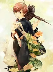 Sunchi