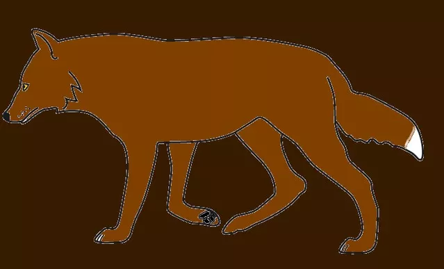 Glanzschweif