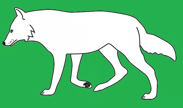 Weißfuß
