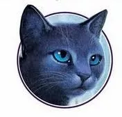 Blaustern