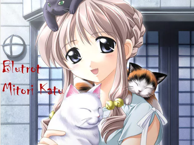 Mitori Katù