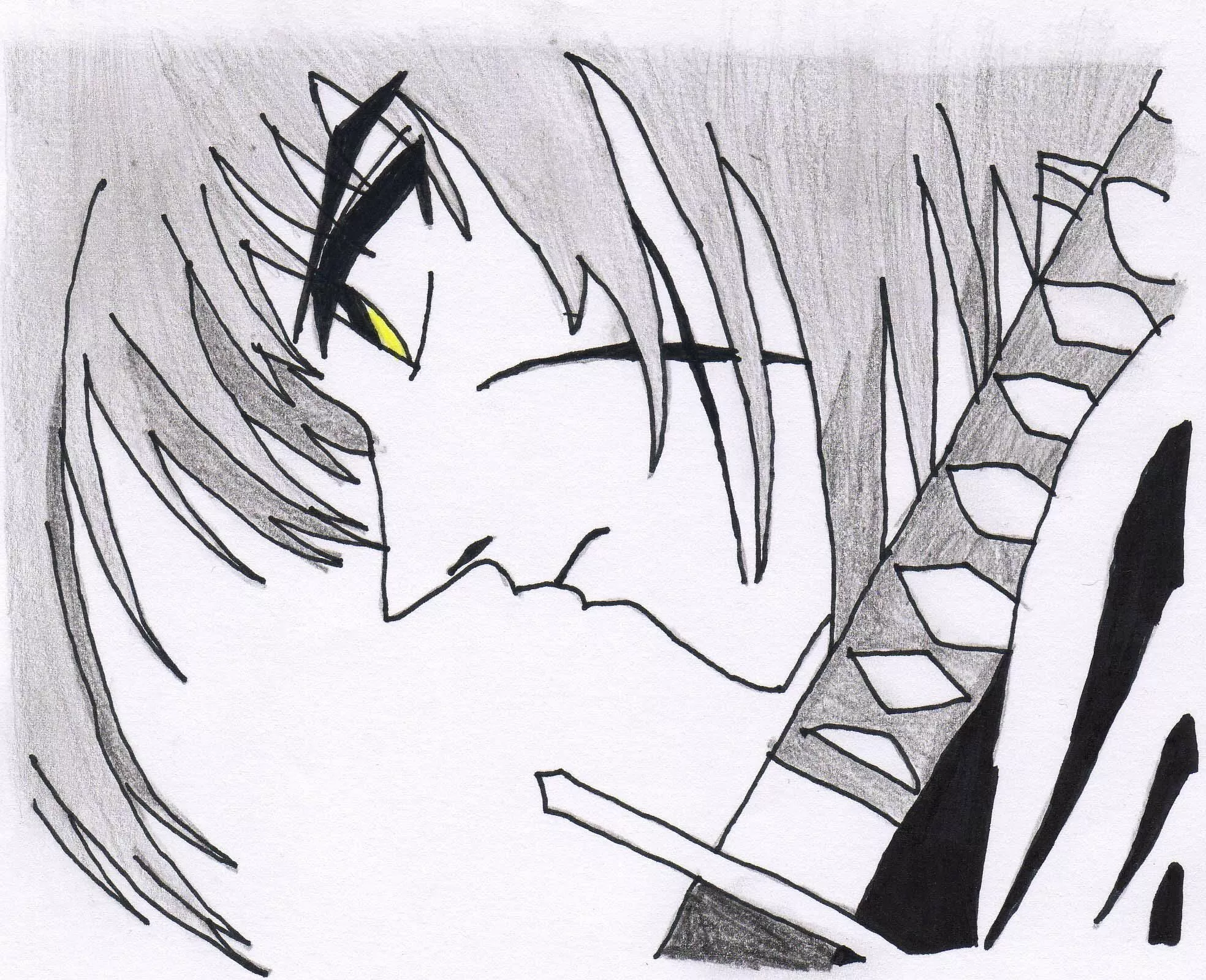 Teiga