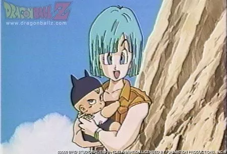 Bulma