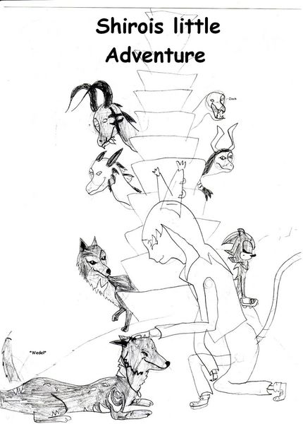 Shirois Little Adventure