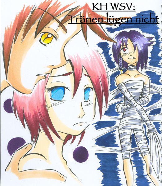 Kingdom Hearts Wanted sentimental Value