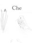 Che