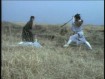 Lone Wolf and Cub