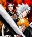 Bleach: The Sealed Sword Frenzy