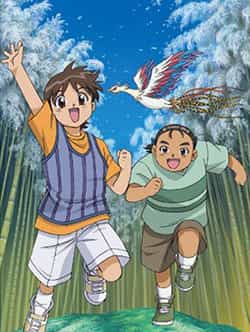 The Flower and the Phoenix