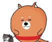 Kimoshiba