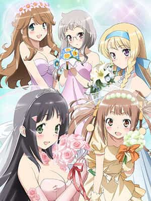 NAKAIMO - My Little Sister Is Among Them!