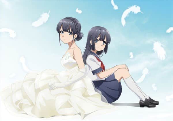 Rascal Does Not Dream of a Dreaming Girl