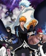 Bleach Movie 2: The Diamond Dust Rebellion