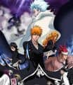 Bleach Movie 2: The Diamond Dust Rebellion