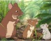 Kawa no Hikari