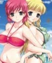 Boobs on the Beach