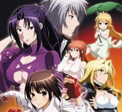 Sekirei: Pure Engagement
