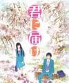 Kimi ni Todoke