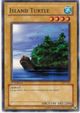 Island Turtle