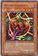 Mystic Tomato