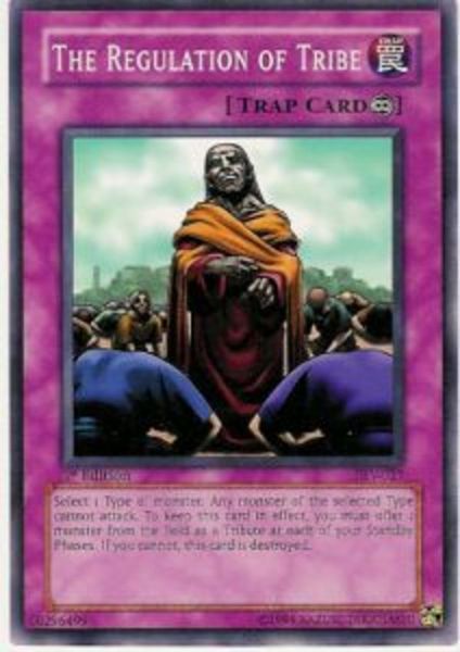 The Regulation Of Tribe