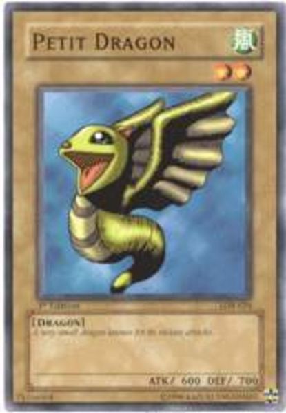 Petit Dragon