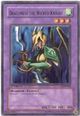 Dragoness the Wicked Knight