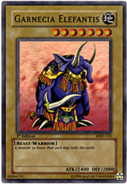 Garnecia Elefantis