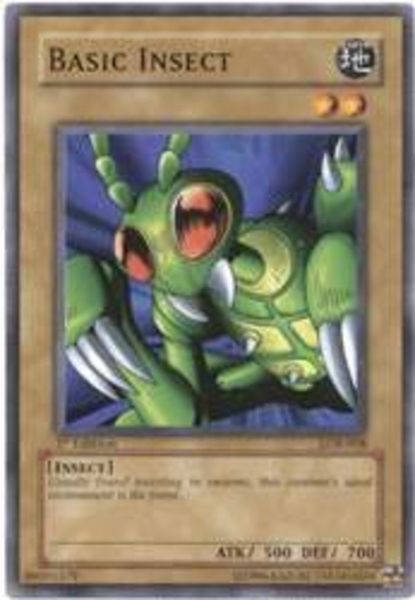 Basic Insect