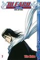 Bleach 07