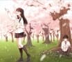 Sakura: I want to eat your pancreas
