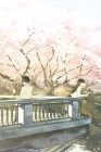I Want to Eat Your Pancreas