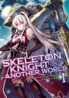 Skeleton Knight in Another World