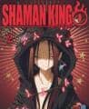 Shaman King 0