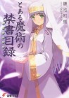 A Certain Magical Index