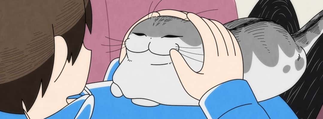 Yoru wa Neko to Issho – Staffel 3 mit neuen Details und Visuals angekündigt