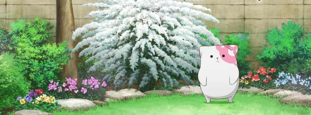 Neue TV-Anime-Serie "Kinoko Inu": Bekanntgabe von Cast, Crew und ersten Teasern