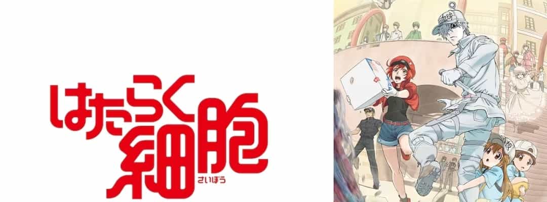 "Cells at Work!" Anime ab April auf NHK E-TV