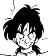 yamchu_hair_05.jpg