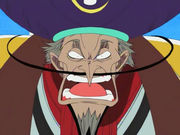 one_piece_charakteregarry.jpg