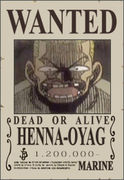 one_piece_steckbriefe22.jpg