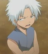 bleach_charakteretoshiro_hitsugaya1.jpg
