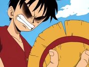 one_piece_charakteremonkey_d_ruffy2.jpg