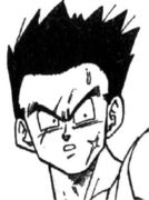 yamchu_hair_08.jpg