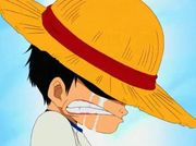 one_piece_charakteremonkey_d_ruffy12.jpg